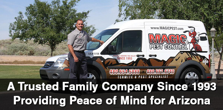 Termite Treatment Phoenix AZ