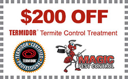 $200 Off Termite Treatment Phoenix AZ