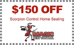 $150 Off Scorpion Control Home Sealing Phoenix