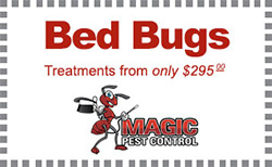 Affordable Bed Bug Control Phoenix AZ